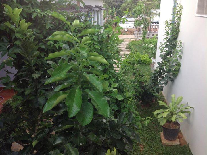 Manh Duyen Garden Homestay Phu Quoc Luaran gambar