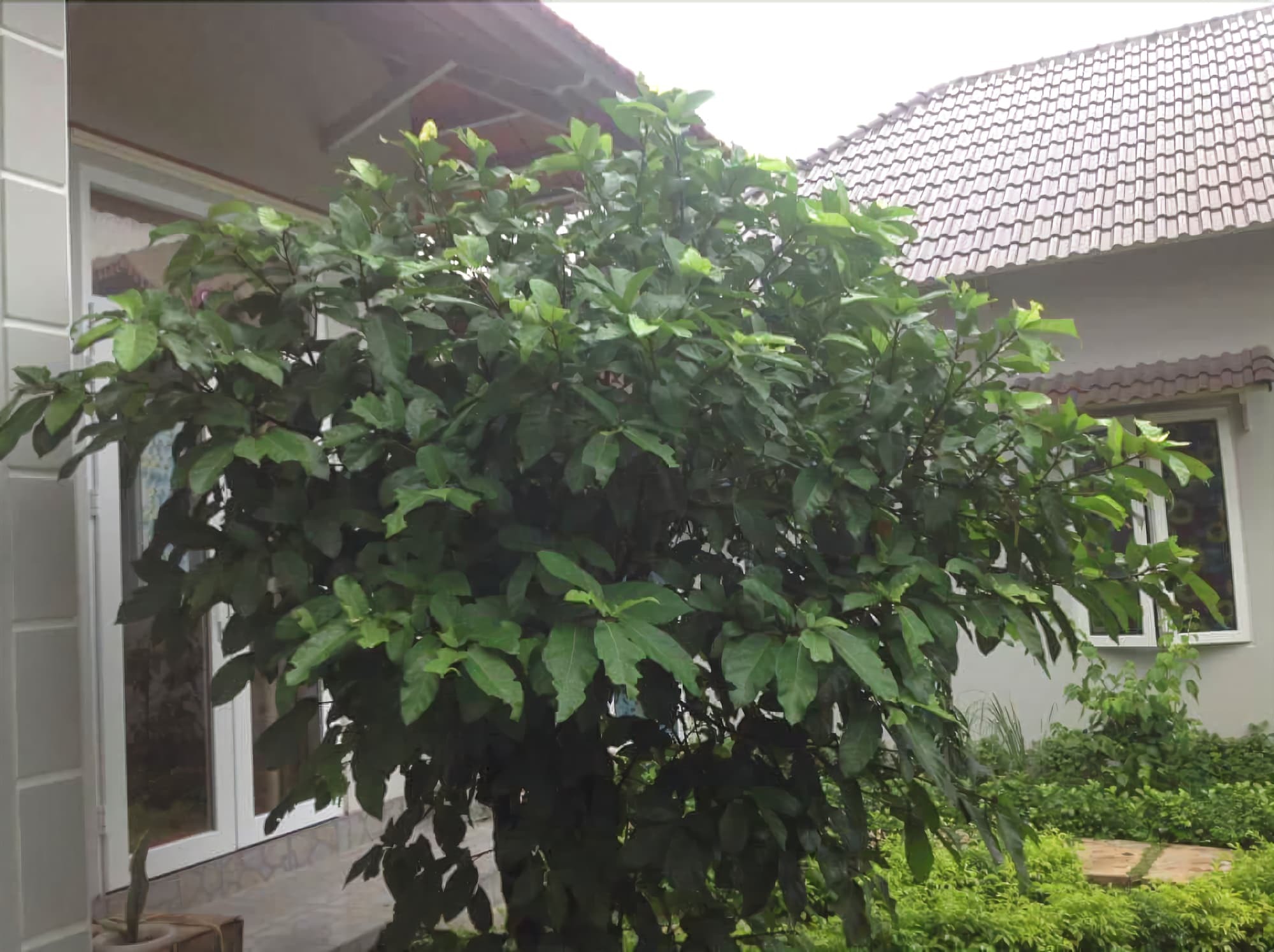 Manh Duyen Garden Homestay Phu Quoc Luaran gambar